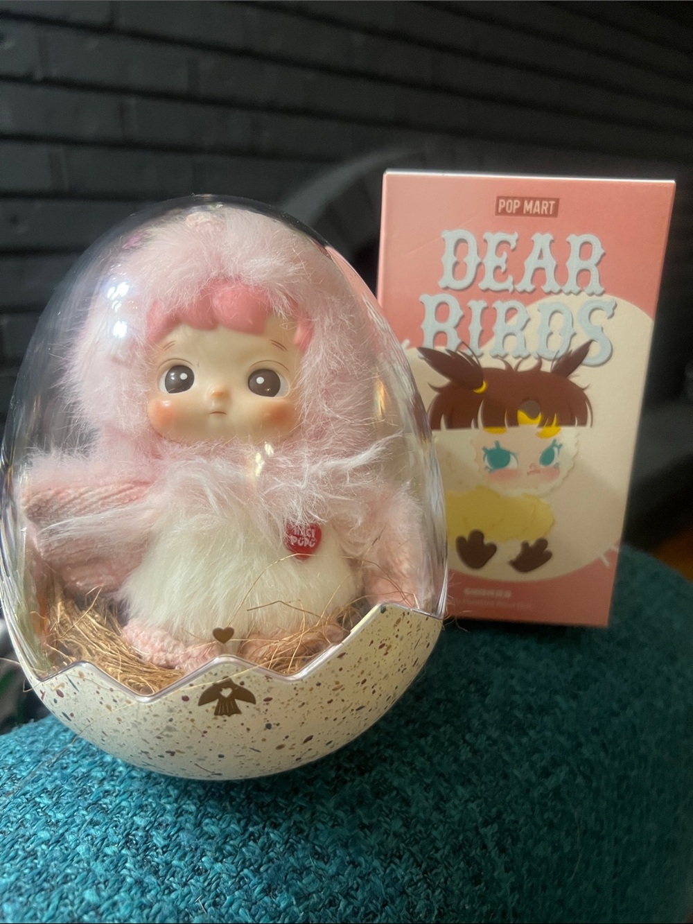Dear Birds Make me Blush Hacipupu in Egg Display